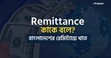 রেমিট্যান্স কাকে বলে? বাংলাদেশের রেমিট্যান্স খাত